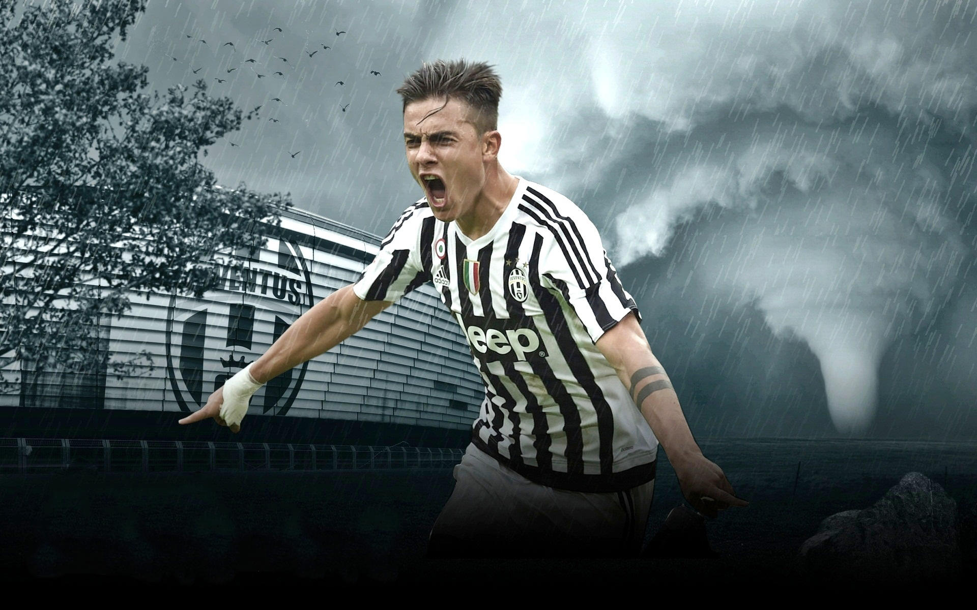 墨尔本胜利队长：对阵悉尼FC需要全队努力，希望取得好结果（墨尔本胜利队长：全队齐心迎战悉尼FC，力争理想结果）